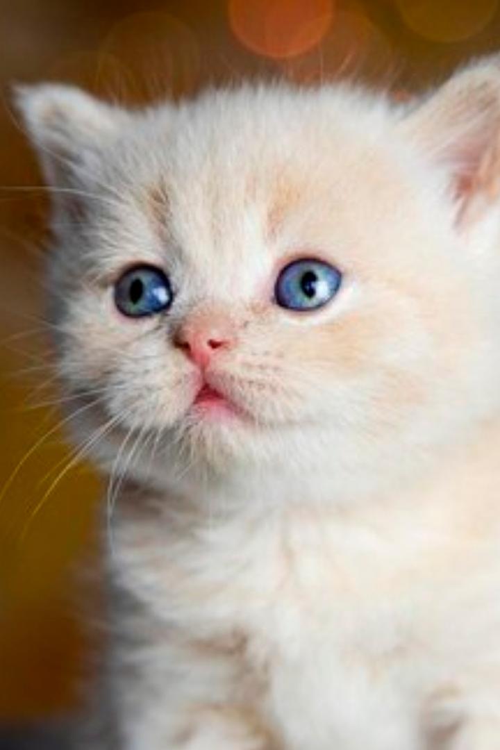 Подрастают малыши