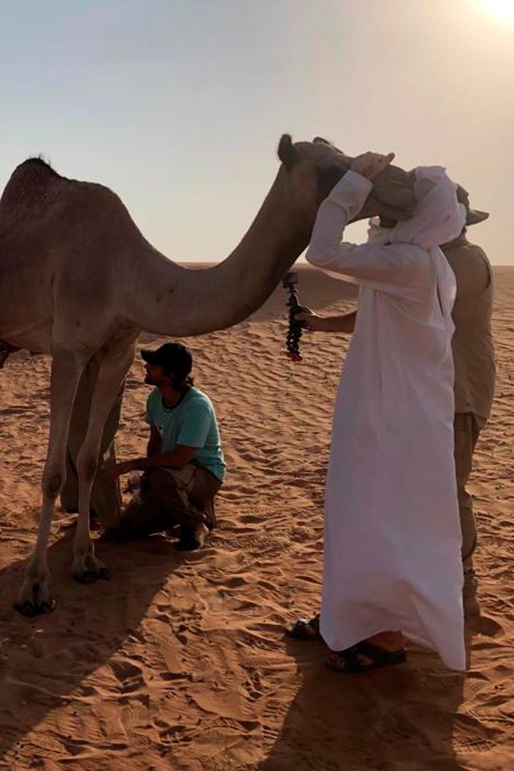 Магия ветра и песка