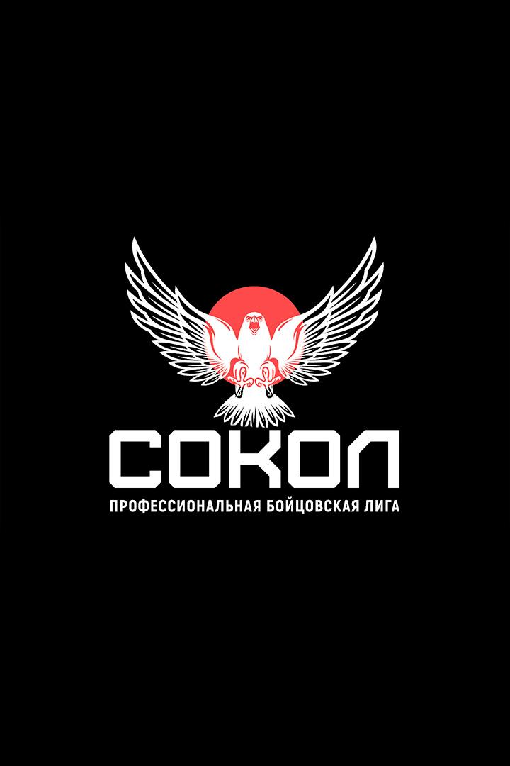 Смешанные единоборства. Профессиональная бойцовская лига "Сокол". Виктор Немков против Хадиса Ибрагимова. Диего Марлон против Евгения Игнатьева