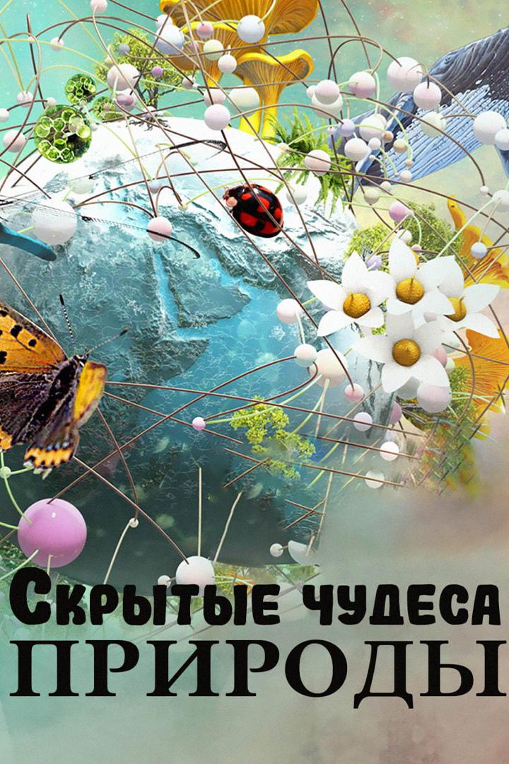 Скрытые чудеса природы