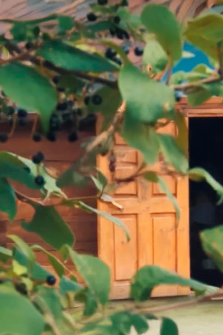 Маленькое счастье Валентины Танышевны