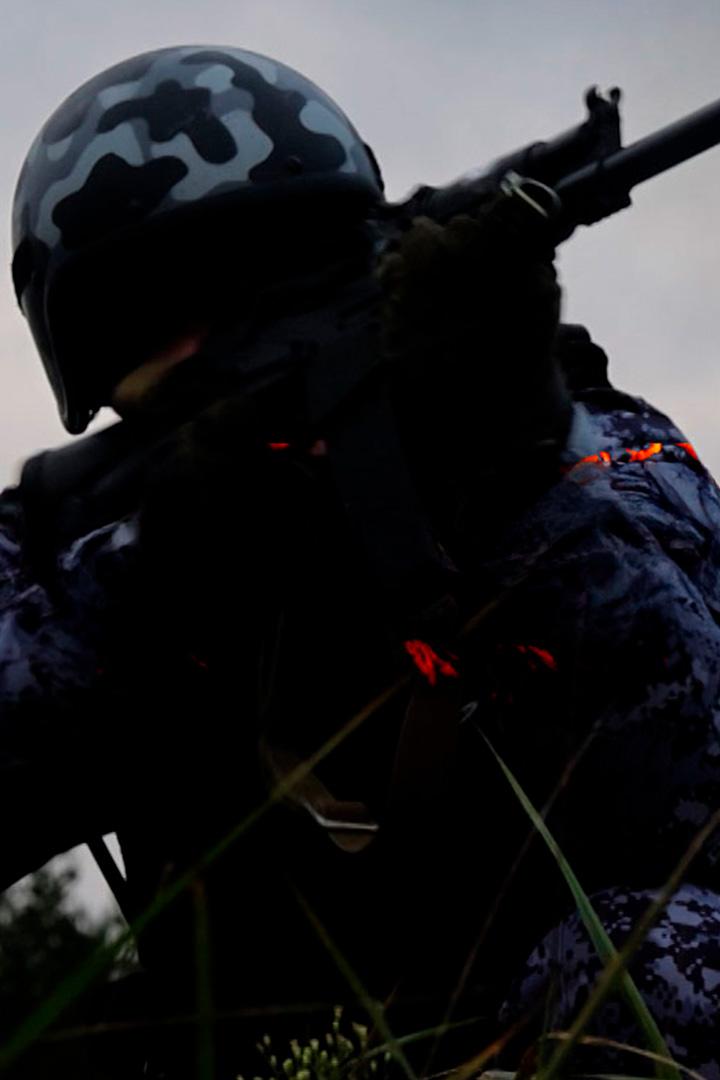 Стражники приграничья