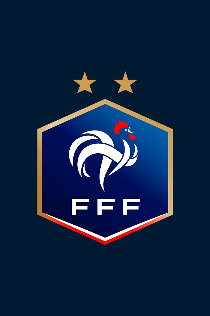 Футбол. Кубок Франции. Лион - Сен Сир Коллонж Мон Д'Ор