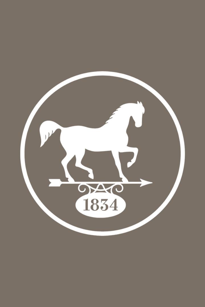 Скачки. "Сады Придонья" Большой Всероссийский приз (Дерби). 2021 год. Трансляция из Москвы