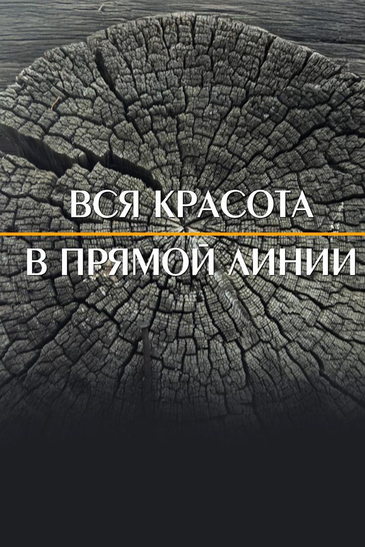Вся красота в прямой линии