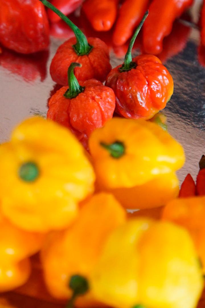 Охотник за чили