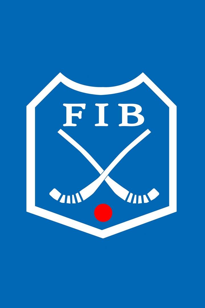 Бенди. Чемпионат мира 2026. Мужчины. Финал