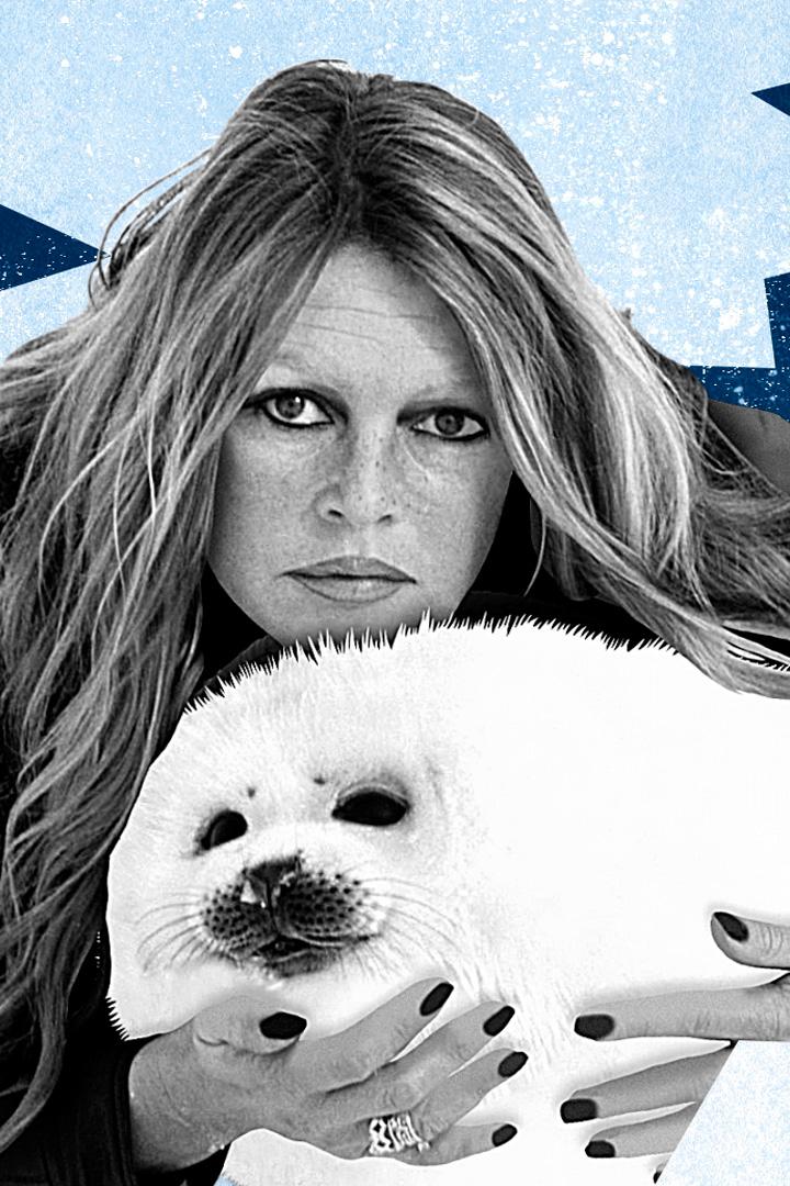 Брижит Бардо: клятва, данная животным