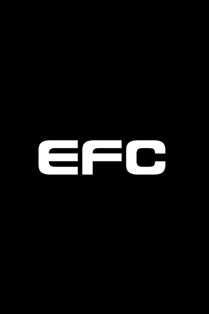 EFC 128. Смешанные единоборства (ЮАР)