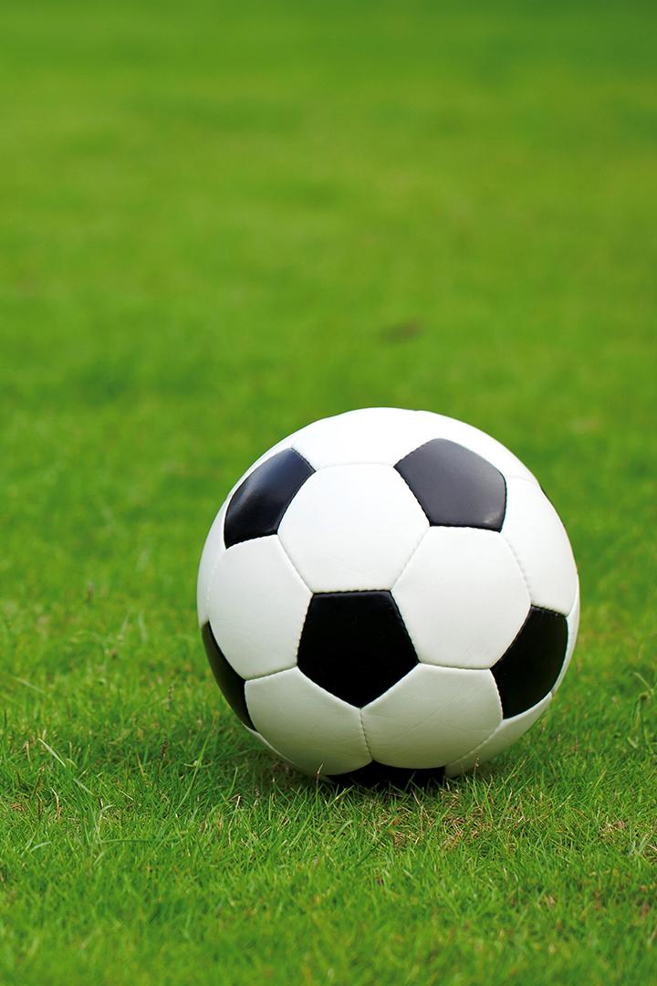 Футбол. Балтика (Калининград) - Сурхан (Термез, Узбекистан). Товарищеский матч