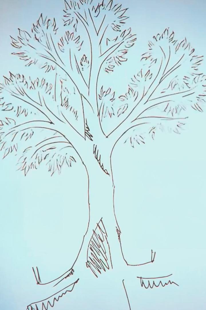 Дерево твоей силы