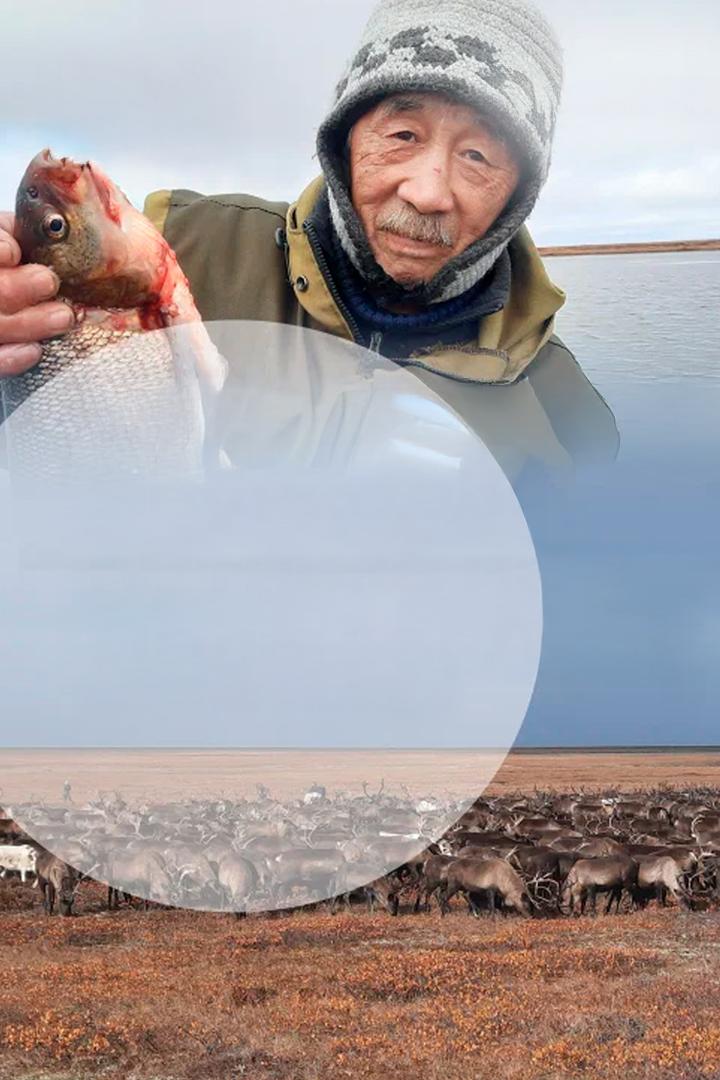 Жизнь Макара Явункодэ, путника из рода Дальних людей