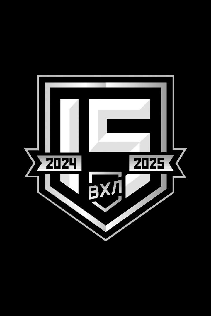 ВХЛ. Регулярный чемпионат. "Торпедо-Горький" (Нижний Новгород) - "Динамо-Алтай" (Барнаул) - 3 период