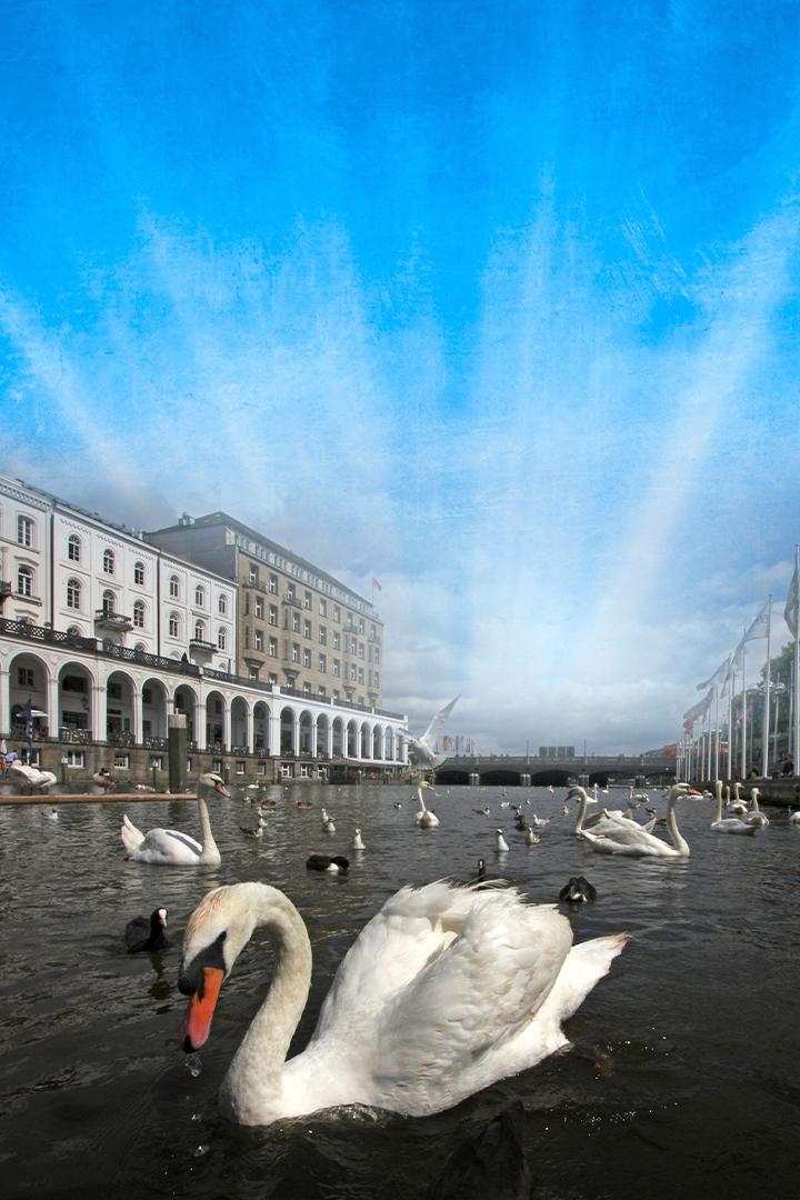 Реки: источник силы