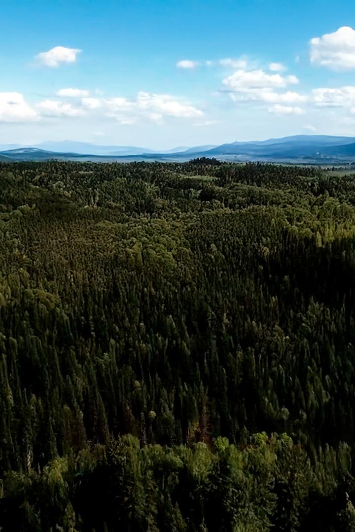 Кузбасская голгофа