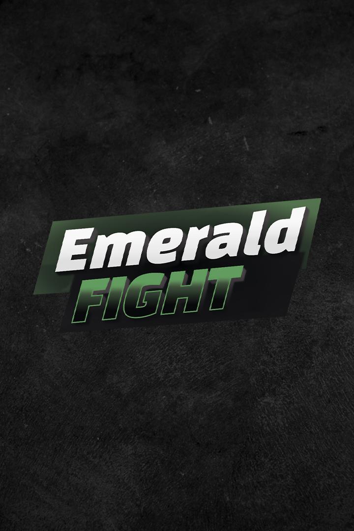 Тайский бокс. Турнир Emerald Fight-12