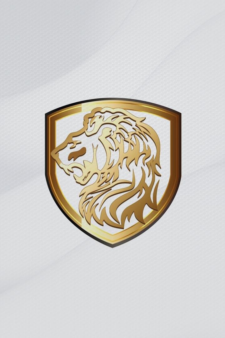 Шамо боксинг. Часть 2-я