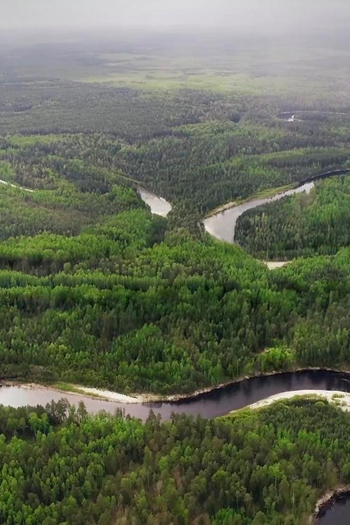 Тайны Керженского заповедника