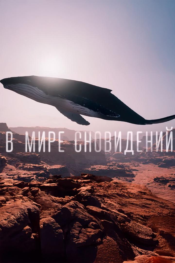 В мире сновидений