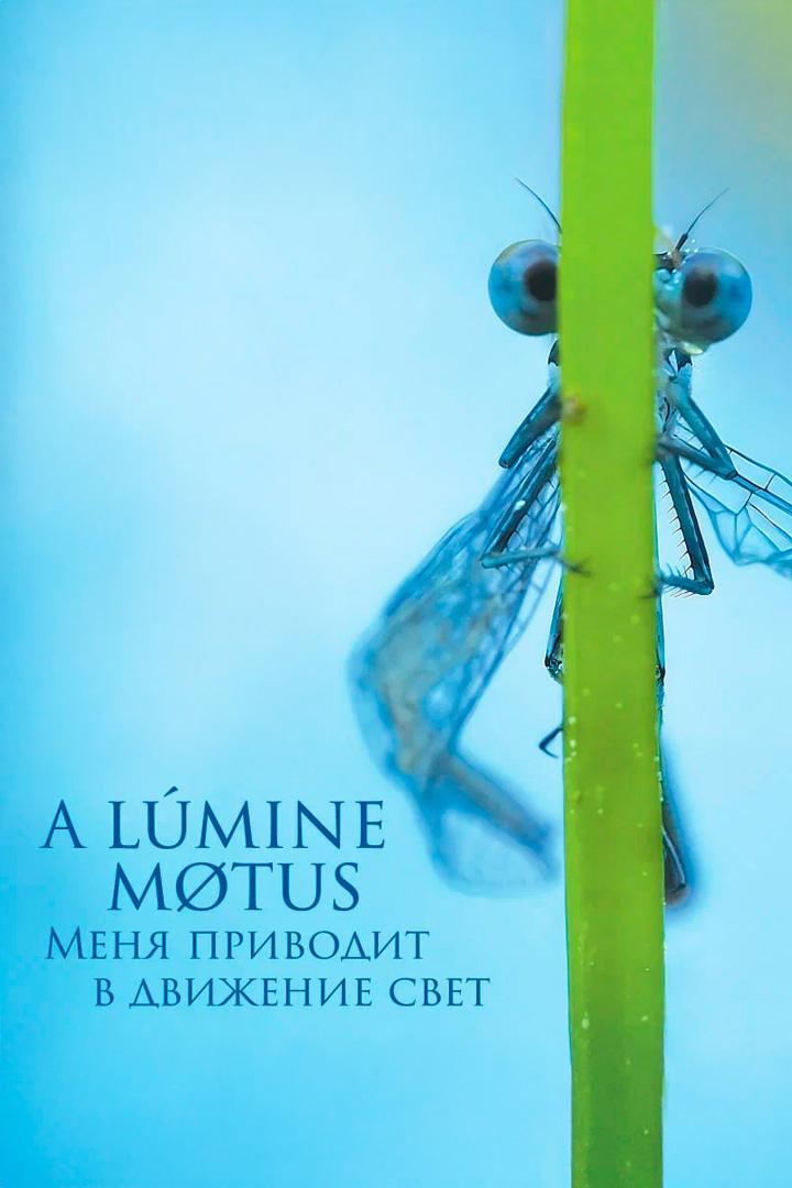 Меня приводит в движение свет