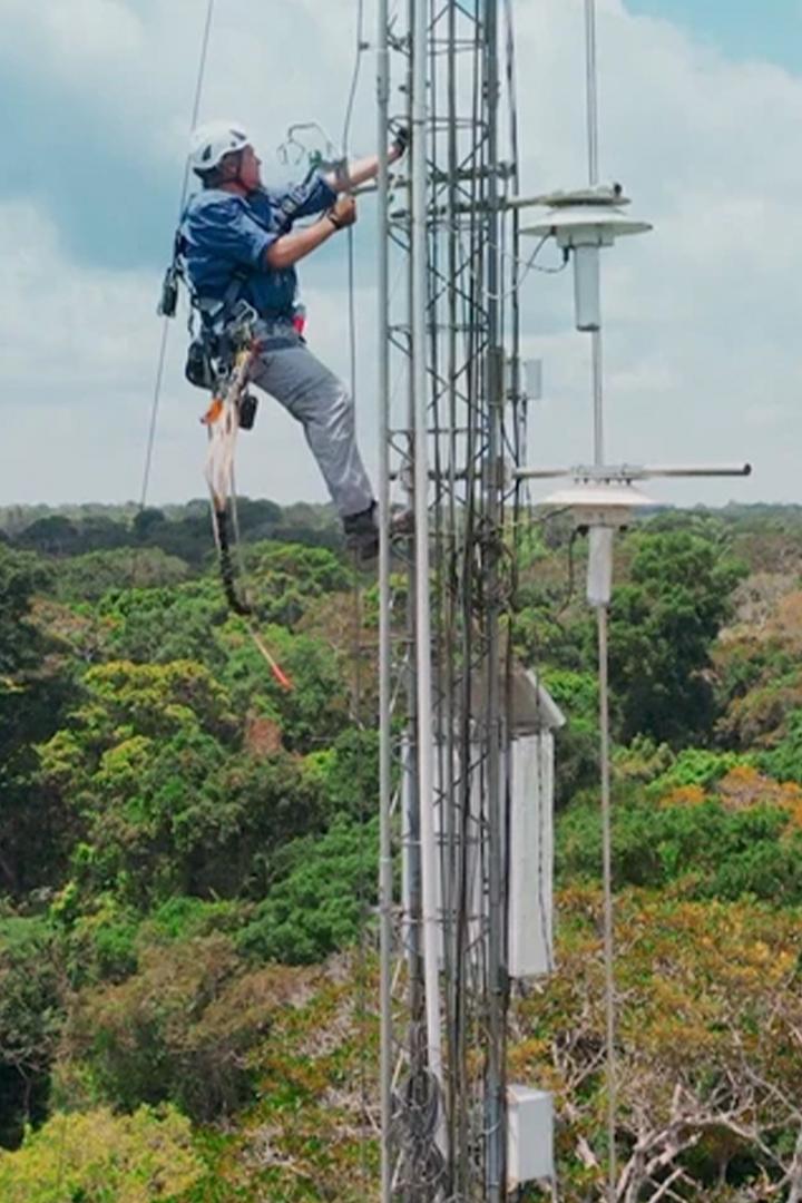 Реки над лесами