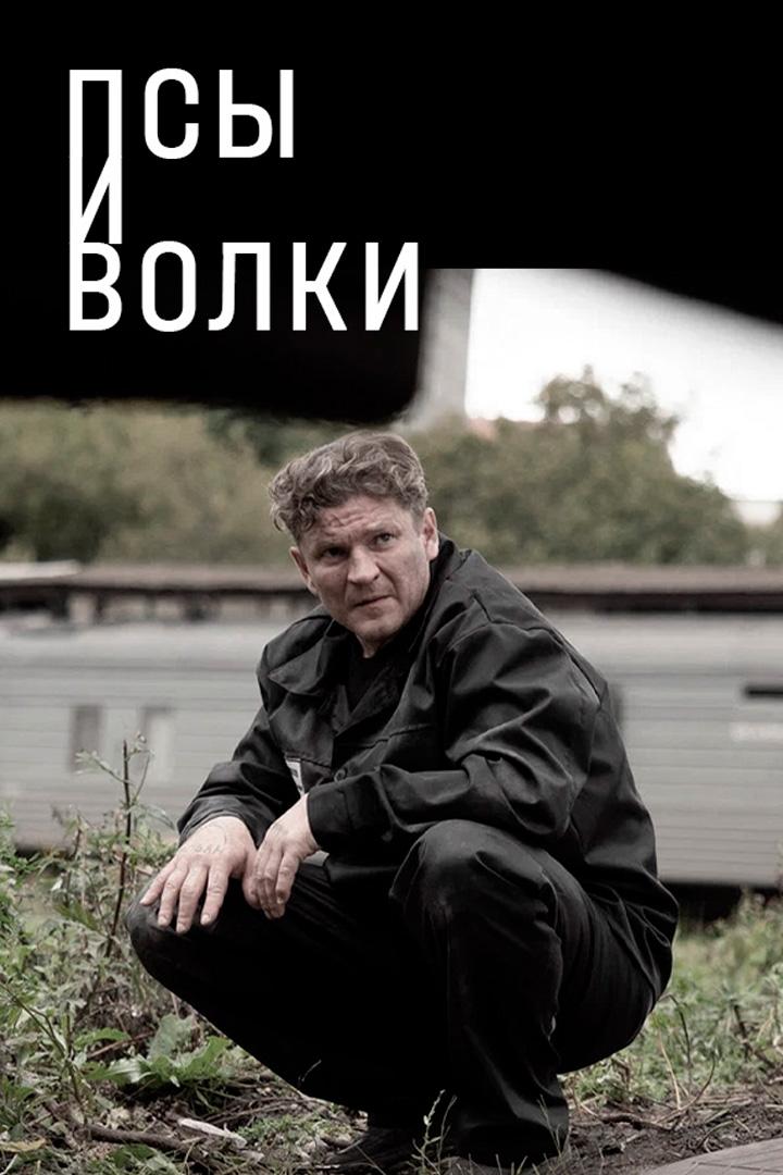 Псы и волки