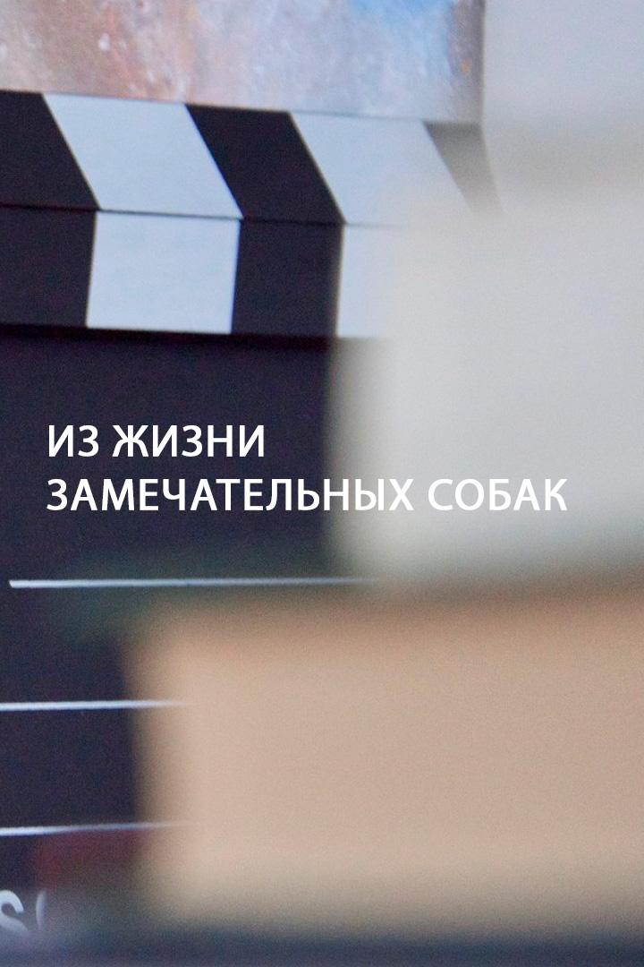 Из жизни замечательных собак