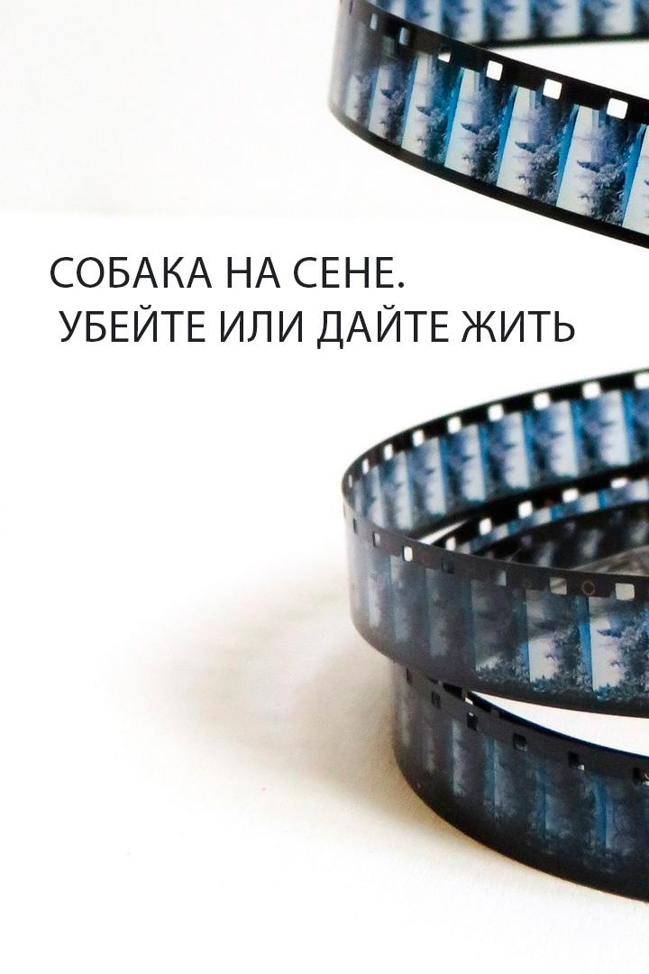 Собака на сене. Убейте или дайте жить
