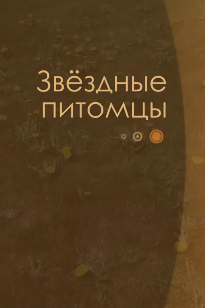 Звёздные питомцы