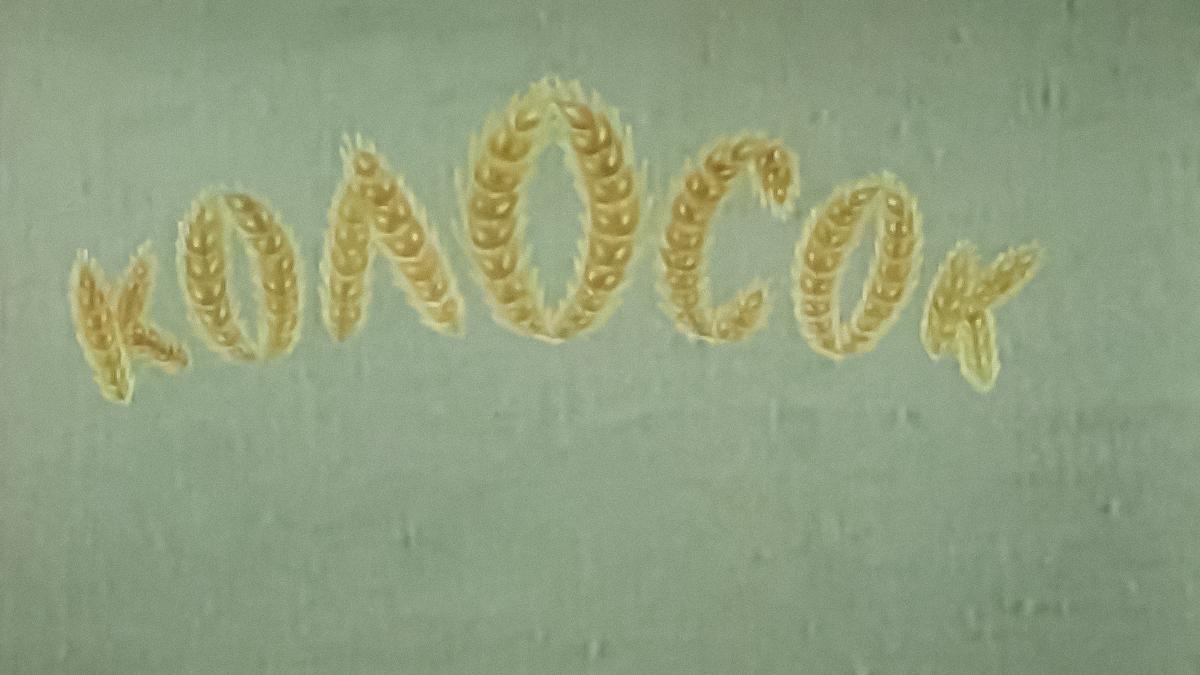 Колосок