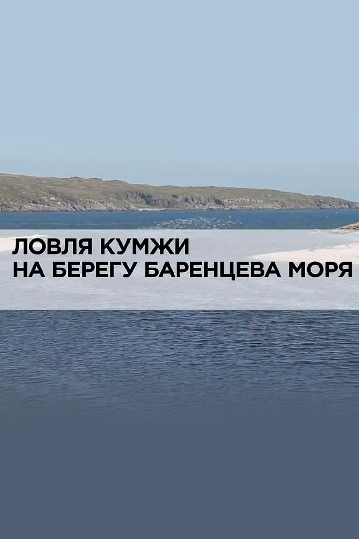 Ловля кумжи на берегу Баренцева моря