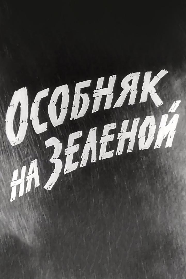 Особняк на Зелёной