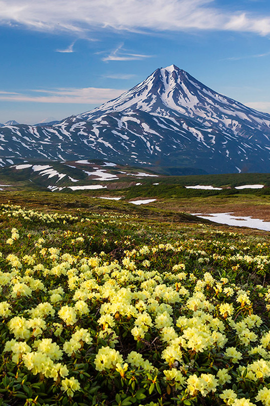 Природа Камчатки