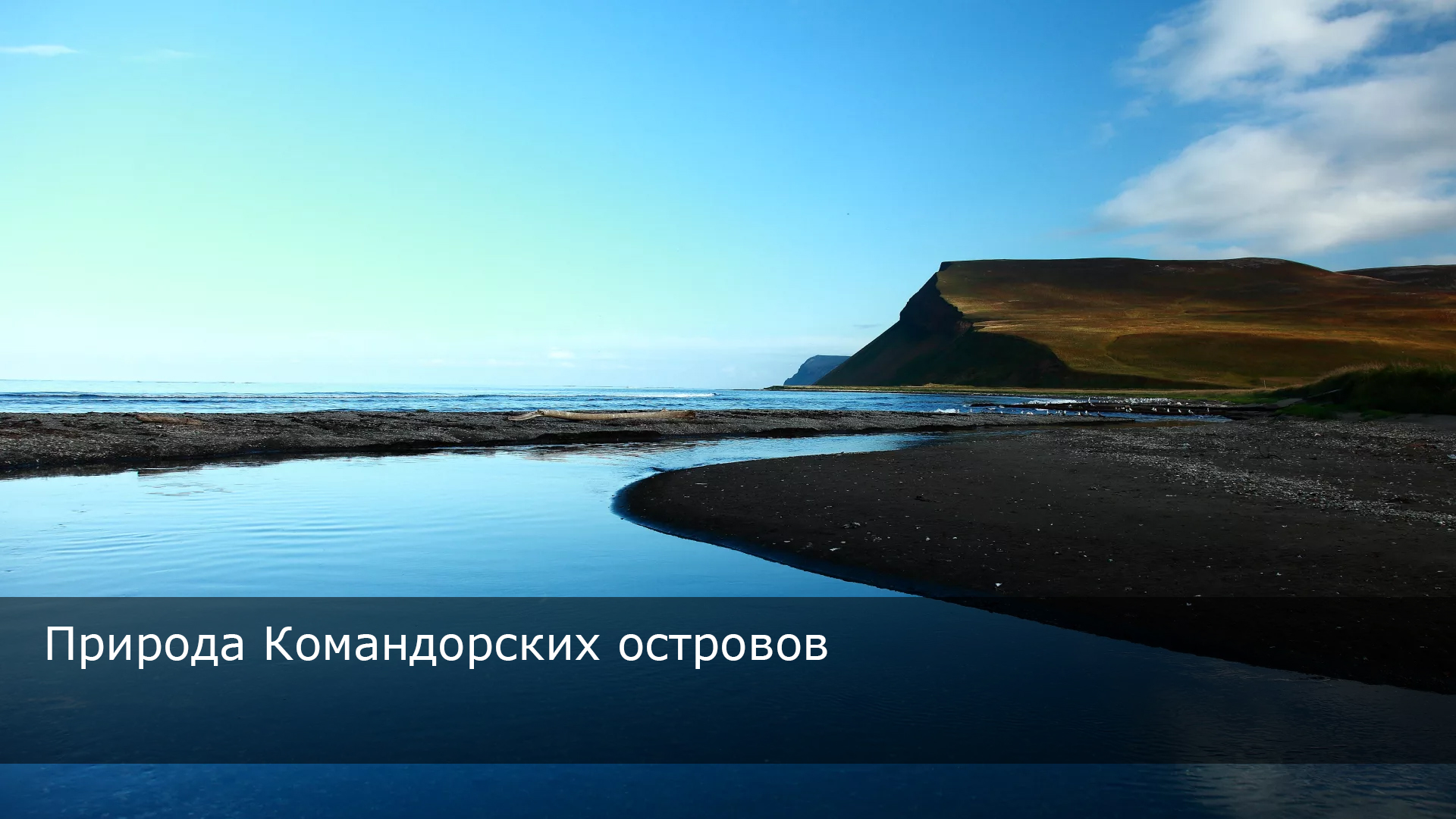 Природа Командорских островов