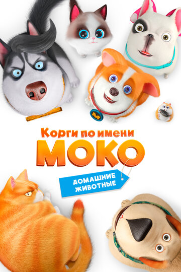 Корги по имени Моко, Домашние животные