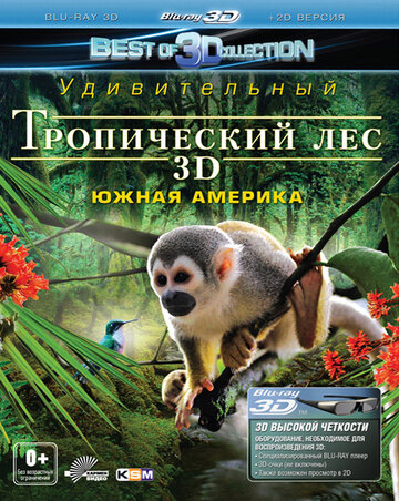Тропический лес. Южная Америка