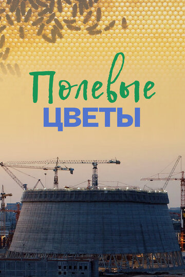 Полевые цветы