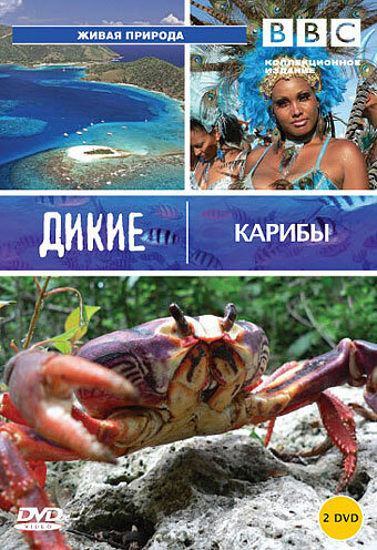 Дикие Карибы