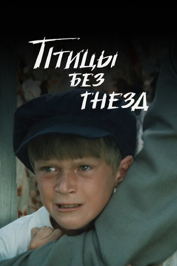 Птицы без гнёзд