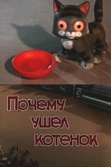 Почему ушёл котёнок?