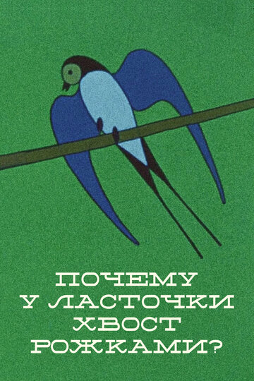 Қарлығаштың құйрығы неге айыр?