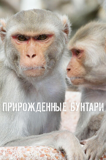 Прирождённые бунтари