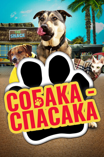 Собака-спасака